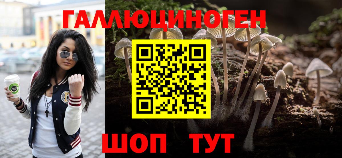 Галлюциногенные грибы MAGIC MUSHROOMS  Вход с VPN  Щёлково 